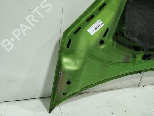 Hood FIAT FIORINO Box Body/MPV (225_) 1.3 D Multijet (225BXD1A, 225BXB1A, 225BXB11) | BP29965925C1