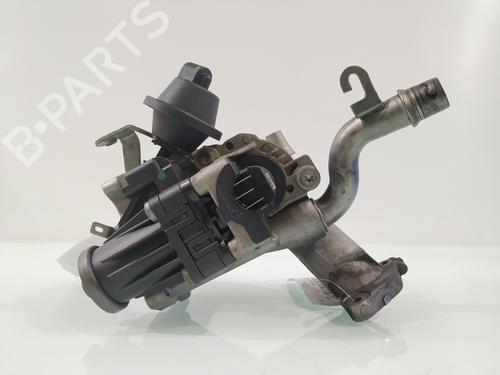EGR-Ventil FORD FIESTA VI (CB1, CCN) 1.6 TDCi | BP29904456M69