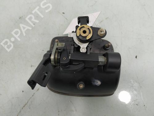 Tailgate handle SEAT IBIZA II (6K1)  | BP8095526C132 