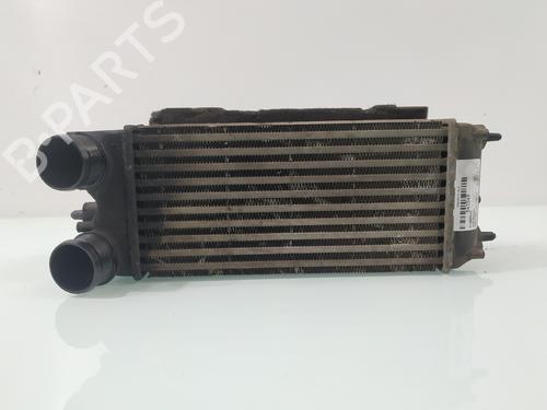 Intercooler FORD FIESTA VI (CB1, CCN) 1.6 TDCi (95 hp) 29904442