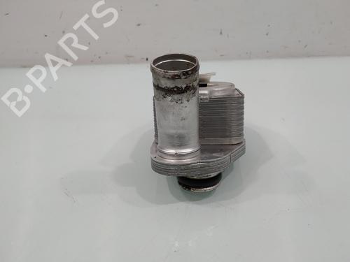 Oil radiator IVECO DAILY V Van  | BP31268964M33 