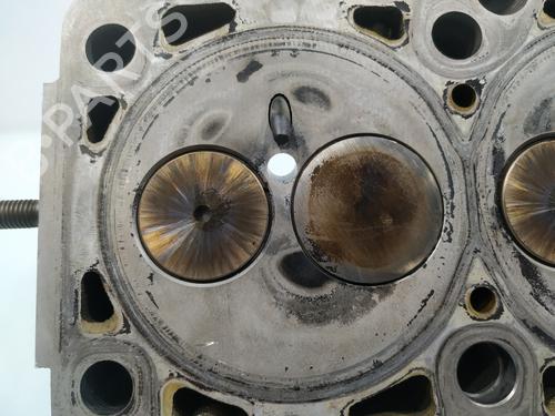 Cylinder head SEAT IBIZA III (6L1)  | BP26394626M5 