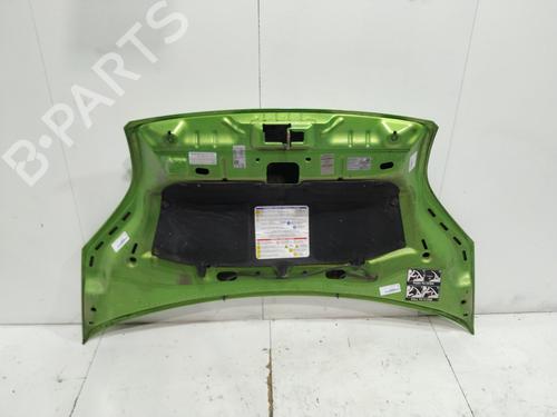 Hood FIAT FIORINO Box Body/MPV (225_) 1.3 D Multijet (225BXD1A, 225BXB1A, 225BXB11) | BP29965925C1