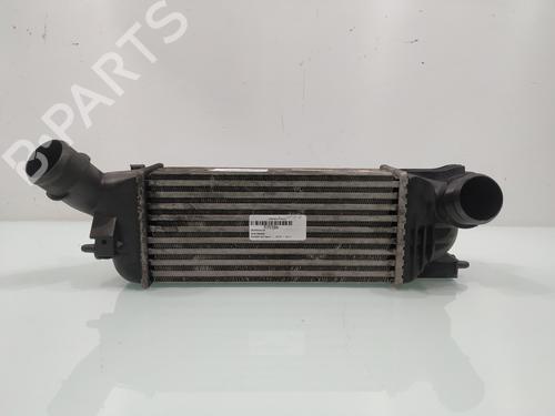 Intercooler PEUGEOT 407 (6D_) 2.0 HDi 135 (6DRHRH, 6DRHRE, 6DRHRG, 6DRHRJ) (136 hp) 28036064