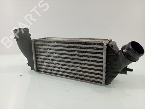 Ladeluftkühler CITROËN JUMPY II Platform/Chassis 2.0 HDi 125 | BP29830936M30 