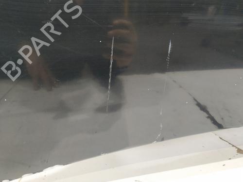 Tailgate VW PASSAT B6 (3C2) 2.0 TDI 16V | BP30100139C6 