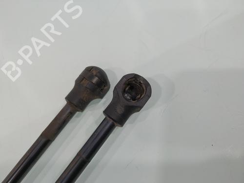 Tailgate lift support DACIA SANDERO II  | BP25119923C138 