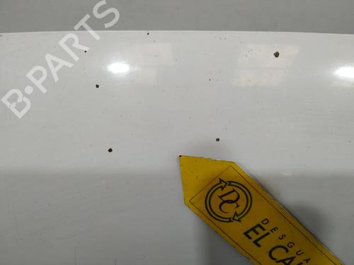 Hood VW CADDY III MPV (2KB, 2KJ, 2CB, 2CJ) 1.9 TDI | BP26394404C1 
