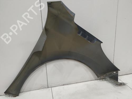 Left front fenders PEUGEOT 207 (WA_, WC_) 1.4 HDi | BP29156836C41 