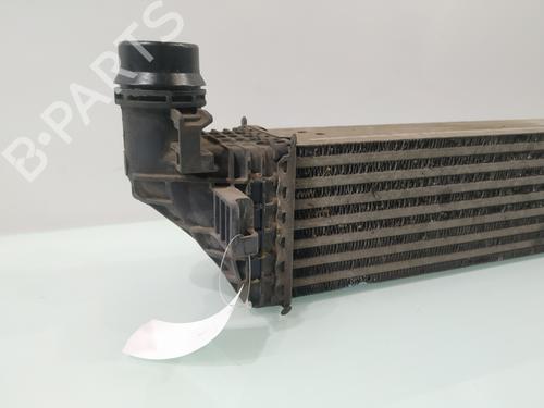 Intercooler RENAULT GRAND SCÉNIC III (JZ0/1_) 1.6 dCi (JZ00, JZ12) | BP29156858M30 
