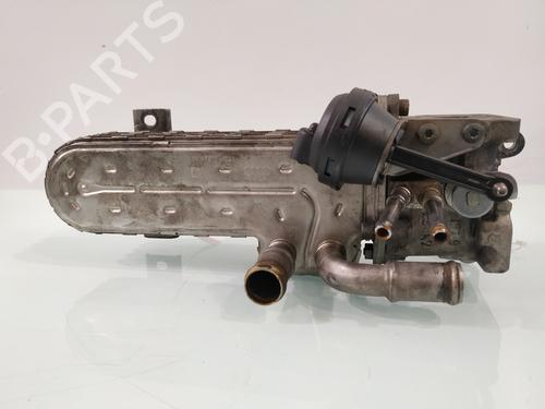 Egr AUDI A3 (8P1)  | BP29955710M69 
