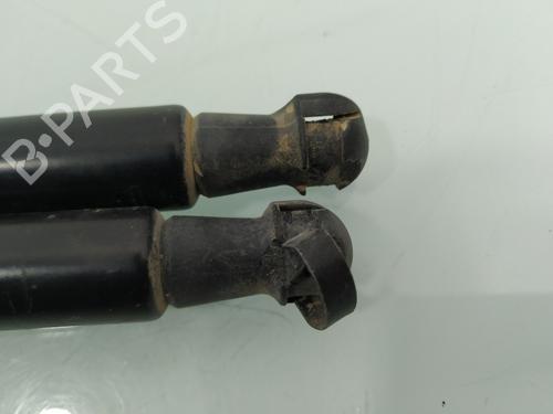 Tailgate lift support NISSAN QASHQAI / QASHQAI +2 I (J10, NJ10, JJ10E) 1.6 dCi | BP17221752C138 