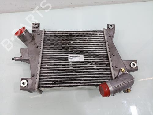 Intercooler Intercooler NISSAN X-TRAIL I (T30) [2001-2013] 33955017 33955017