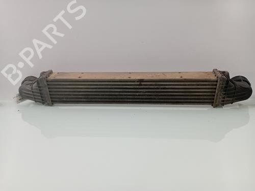 Intercooler MERCEDES-BENZ E-CLASS (W211) E 270 CDI (211.016) | BP29448704M30 