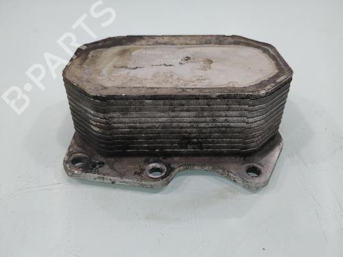 Oil radiator FORD TRANSIT Van (FA_ _)  | BP29451048M33 