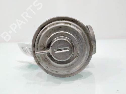 Egr BMW 3 (E46) 320 d | BP28097462M69 