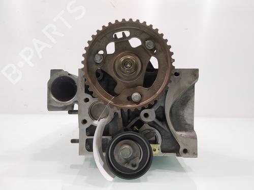 Cylinder head RENAULT MEGANE II (BM0/1_, CM0/1_) | BP31127389M5