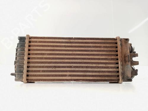 Used Intercooler SANTANA 300 Open Off-Road Vehicle 1.6 HDi 4x4 (90 hp) 12448356