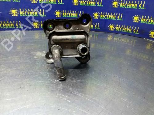 Oil radiator FORD FOCUS I (DAW, DBW)  | BP17173961M33 