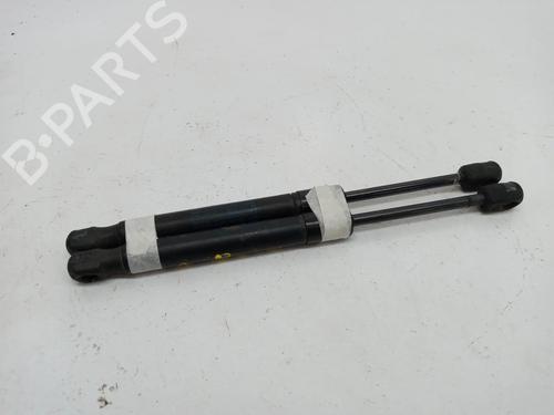 Gassdemper Bakluke VW PASSAT B5.5 (3B3) 1.9 TDI (130 hp) 14021334