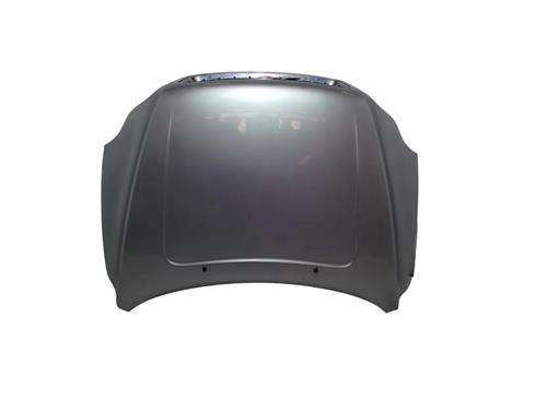 Hood VOLVO XC90 I (275) D3 / D5 BP17317160C1
