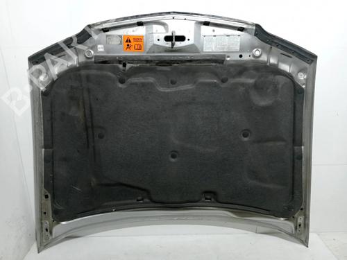 Hood HONDA ACCORD VII (CL, CN) 2.2 i-CTDi (CN1) | BP17989104C1 