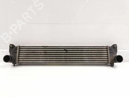 Used Intercooler FIAT SEDICI (189_) 1.9 D Multijet (120 hp) 11688917