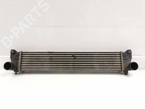 Intercooler FIAT SEDICI (189_) 1.9 D Multijet (120 hp) 11688917