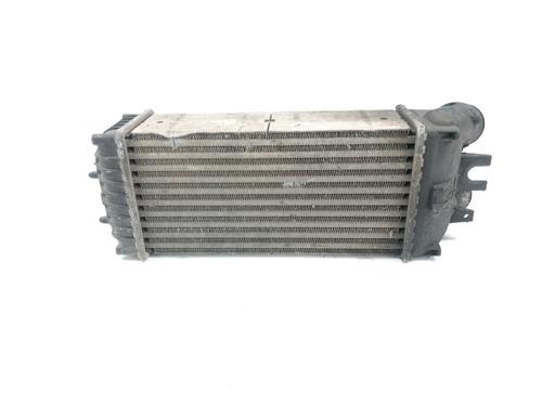 Intercooler SANTANA 300 Open Off-Road Vehicle  | BP28073529M30 