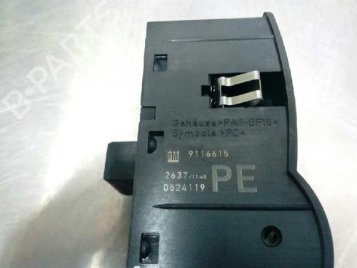 Headlight switch OPEL COMBO Box Body/MPV  | BP8439893I24 