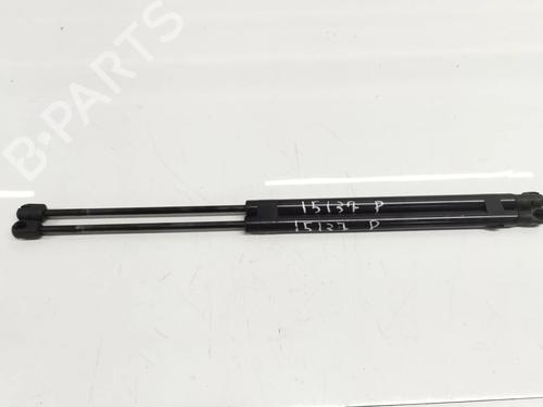 Used Tailgate lift support LAND ROVER RANGE ROVER SPORT I (L320) 2.7 D 4x4 (190 hp) 14024156