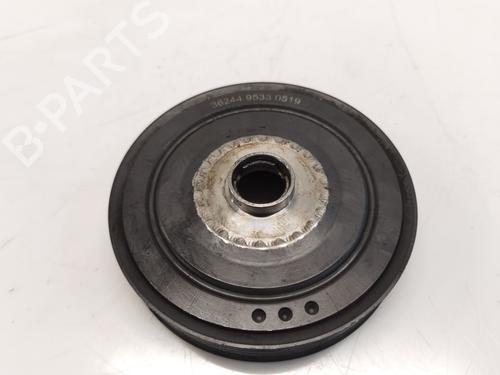 Polea Polea RENAULT MEGANE III Grandtour (KZ0/1) 1.9 dCi (KZ0J, KZ0N, KZ1S) (131 hp) 36338129 36338129