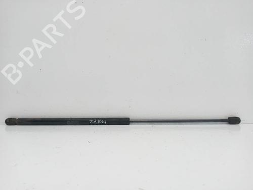 Used Hood lift support CITROËN XSARA Coupe (N0) 2.0 HDI 90 (90 hp) 14021896