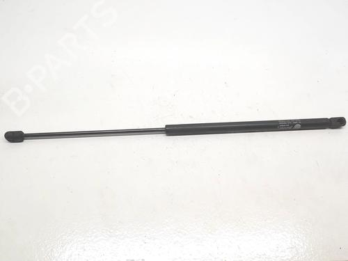 Used Tailgate lift support CITROËN XSARA (N1) 2.0 HDi 90 (90 hp) 14022914