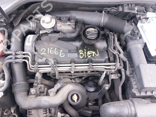 Used Engine VW GOLF V (1K1) 1.9 TDI (105 hp) 31631641