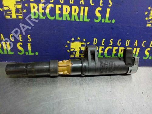Used Ignition coil RENAULT CLIO III (BR0/1, CR0/1) [2005-2014]  8447646