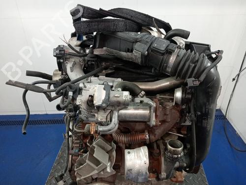 Engine DACIA SANDERO II 1.5 dCi | BP27319406M1