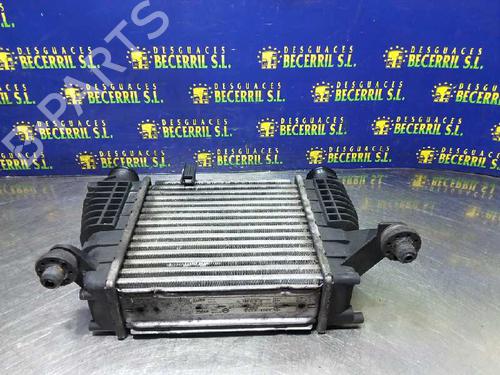 Used Intercooler NISSAN NV200 Van 1.6 16V (VM20, M20N, M20, M20L, M20M) (110 hp) 9264788