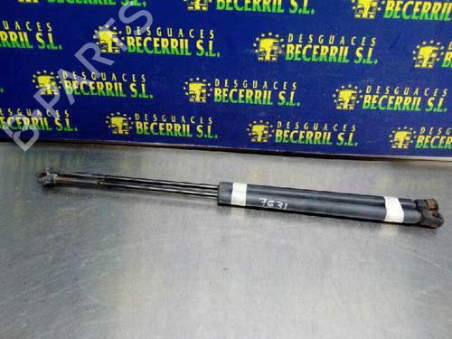 Used Tailgate lift support VW GOLF IV (1J1) 1.6 (100 hp) 14018774