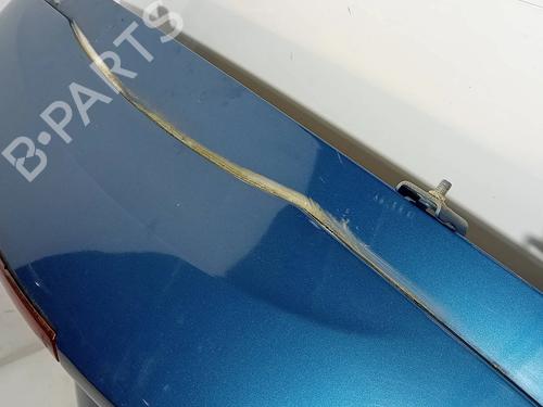 Tailgate RENAULT MEGANE II (BM0/1_, CM0/1_)  | BP17988618C6 
