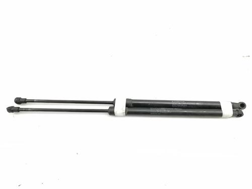 Used Tailgate lift support NISSAN QASHQAI / QASHQAI +2 I (J10, NJ10, JJ10E) [2006-2014]  21145039