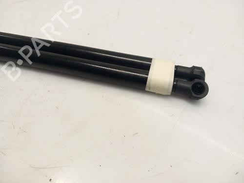 Pansergassdemper VW TOUAREG (7LA, 7L6, 7L7) 3.0 V6 TDI | BP23503226C139 