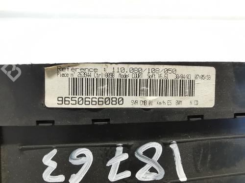 Instrument cluster PEUGEOT 406 (8B)  | BP24982689C47