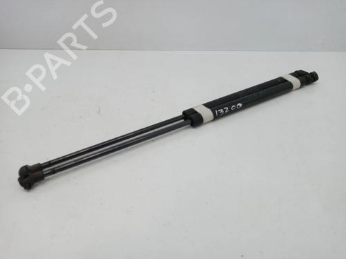Used Tailgate lift support SEAT LEON (1M1) 1.9 TDI (110 hp) 14021181