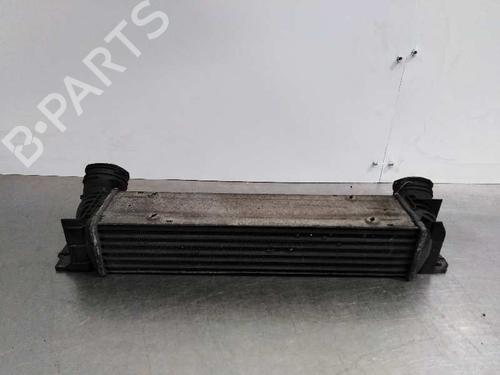 Intercooler BMW 3 Touring (E91) 320 d | BP8461041M30 