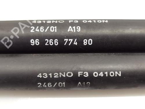 Tailgate lift support CITROËN XSARA Break (N2)  | BP21529824C138 