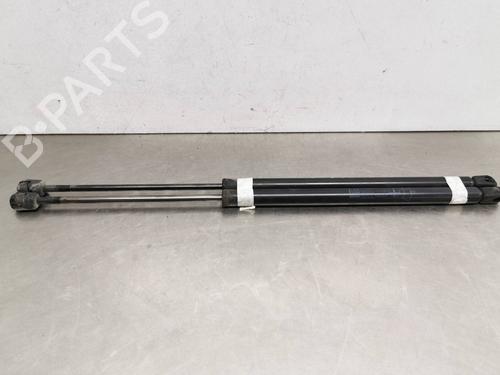 Used Tailgate lift support OPEL ZAFIRA A MPV (T98) 2.0 DTI 16V (F75) (101 hp) 14020506