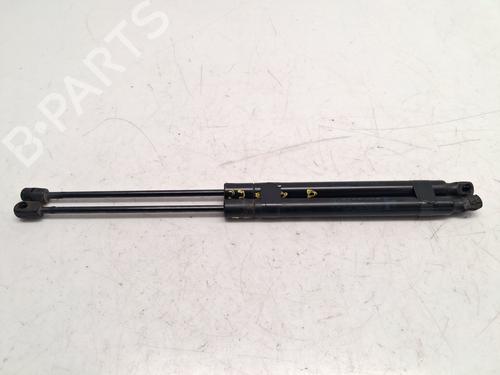tailgate-lift-support-dodge-journey-2008-36037391 main image