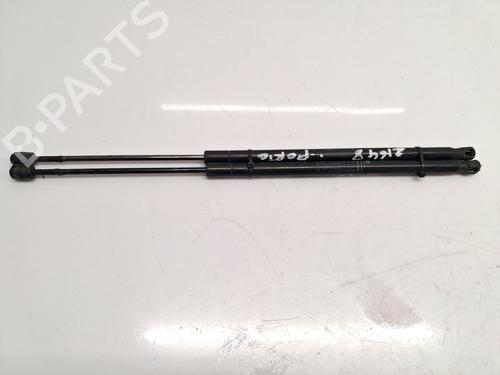 Used Tailgate lift support FIAT QUBO (225_) 1.3 D Multijet (225AXE1A, 225CXE1A, 225AXH1A, 225AXL1A,... (95 hp) 31249916