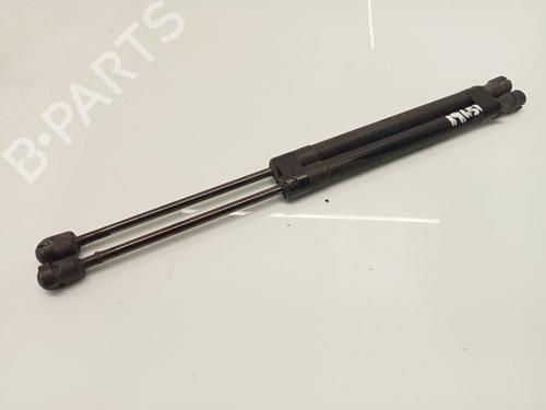 Used Tailgate lift support SKODA ROOMSTER (5J7) 1.9 TDI (105 hp) 24967137